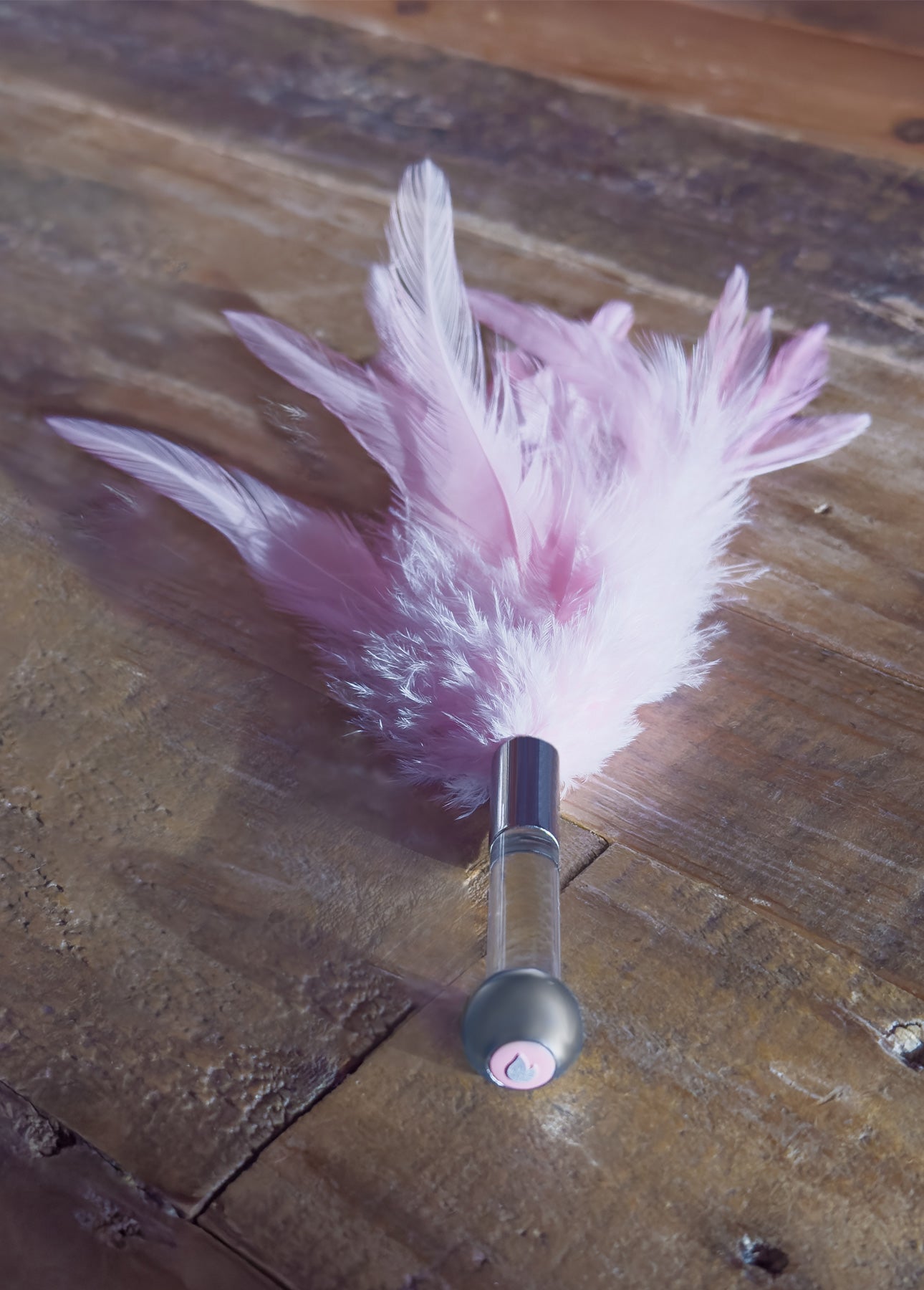 Stroking Me Softly feather wand tickler from the Totally Lit Kit sensation play set